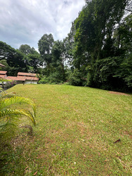 Mount Pleasant Road (D11), Detached #484359091